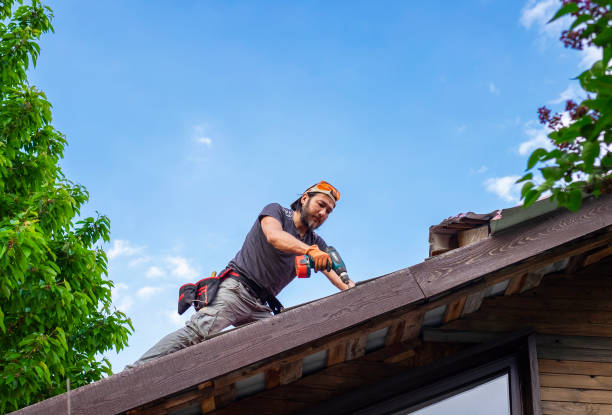 Best Metal Roofing Installation  in Nellysford, VA