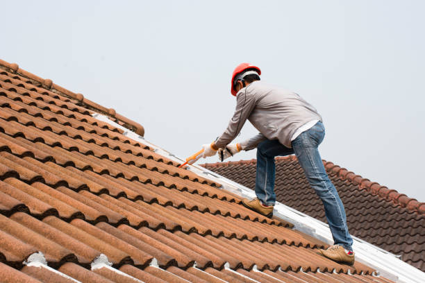Best Cold Roofs  in Nellysford, VA