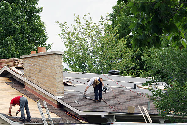 Best Roof Ventilation Installation  in Nellysford, VA